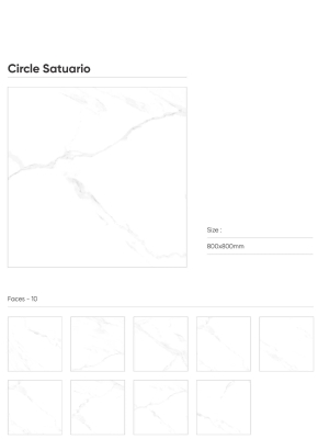 CIRCLE STATUARIO